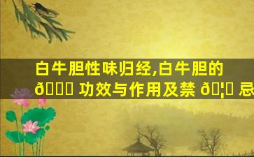 白牛胆性味归经,白牛胆的 🐎 功效与作用及禁 🦋 忌
